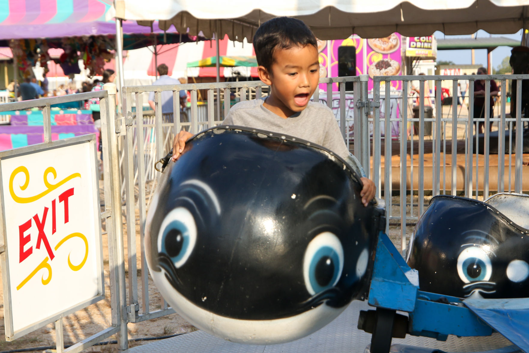 Lee County Fair 2019